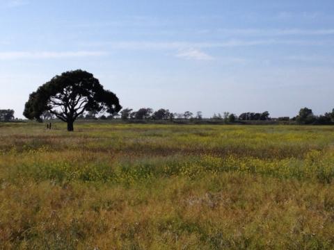 Photo of Coyote Hills