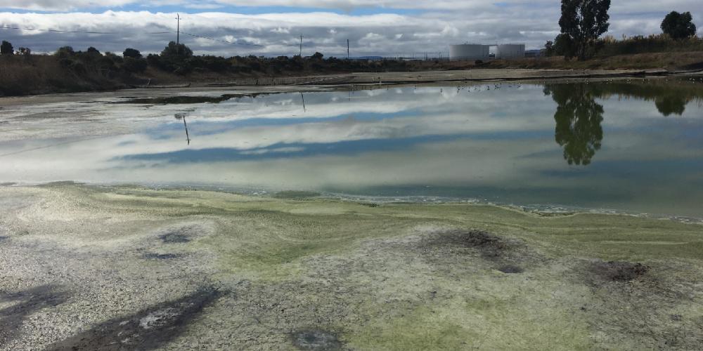 San Leandro wastewater storage basin 