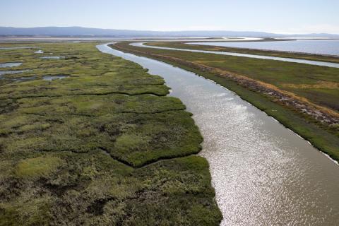 Marsh Channel