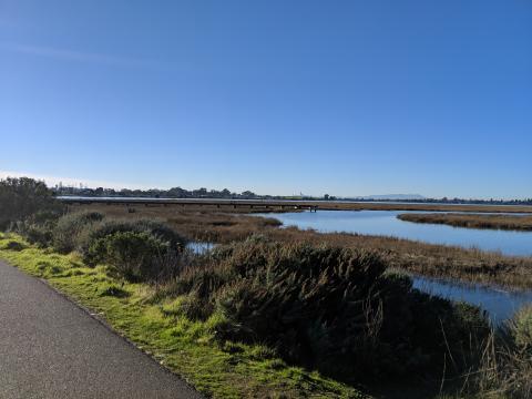 Bay Area shoreline