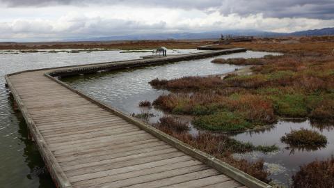 Don Edwards Refuge. Photo: JKehoe_Photos via flikr