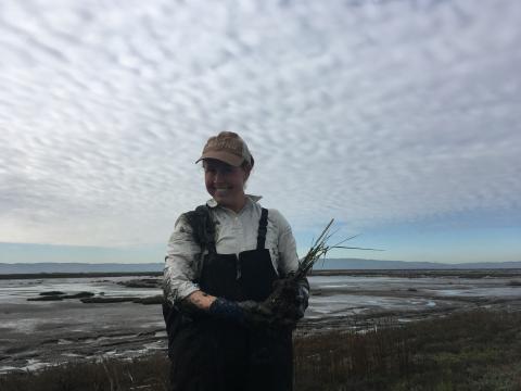 Planting native plans after invasive removal