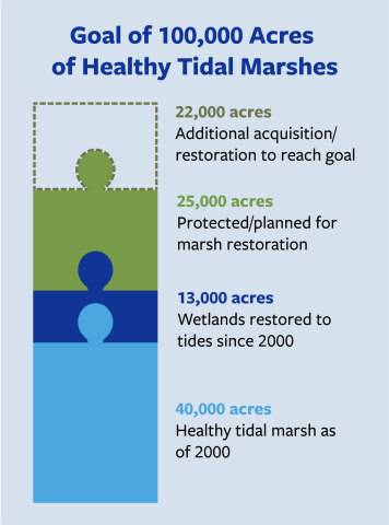 Healthy Wetlands Chart