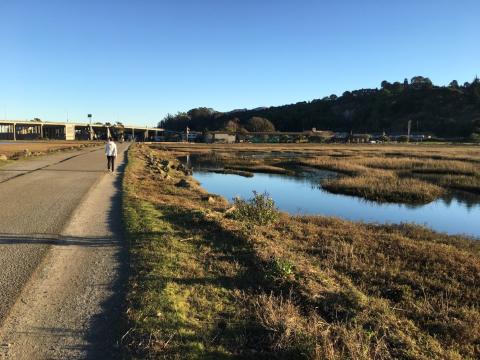 Bay Trail at Bothin Marsh