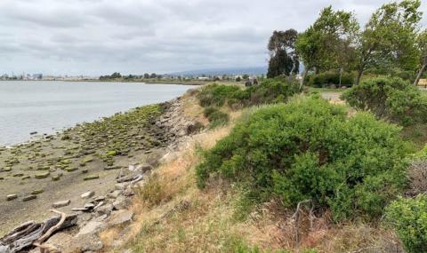 MLK Shoreline