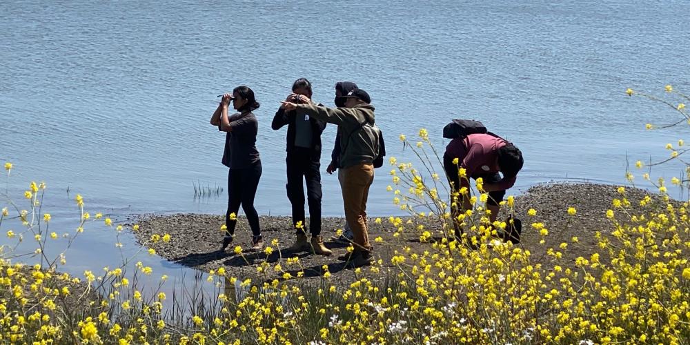 People looking at shoreline