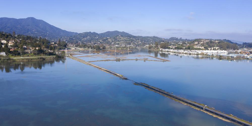 Image of flooded Marin