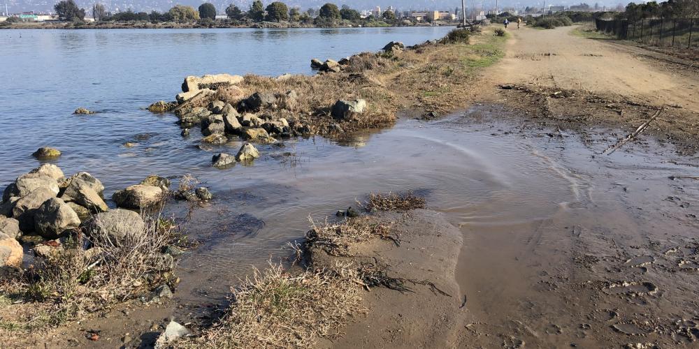 Berkeley Meadow in King Tide