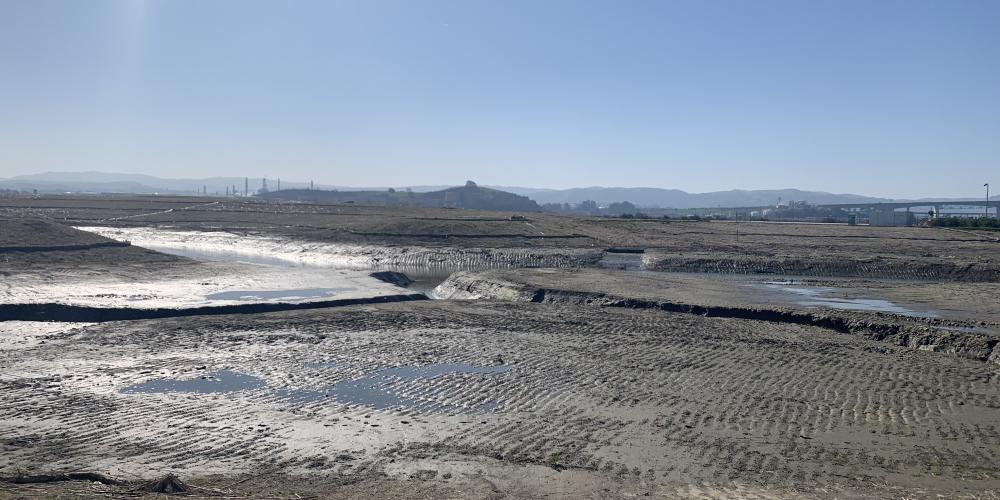 Lower Walnut Creek, Feb 2022