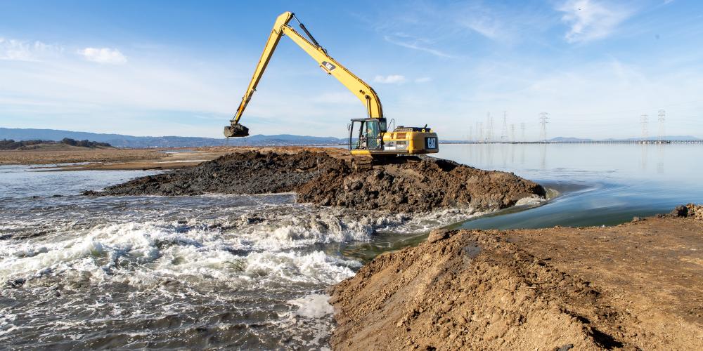 Excavator breaches the bayside levee at Ravenswood R4 pond