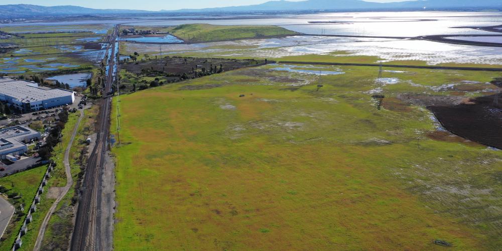Newark Baylands