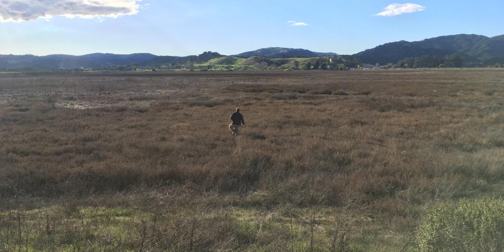 McInnes Marsh