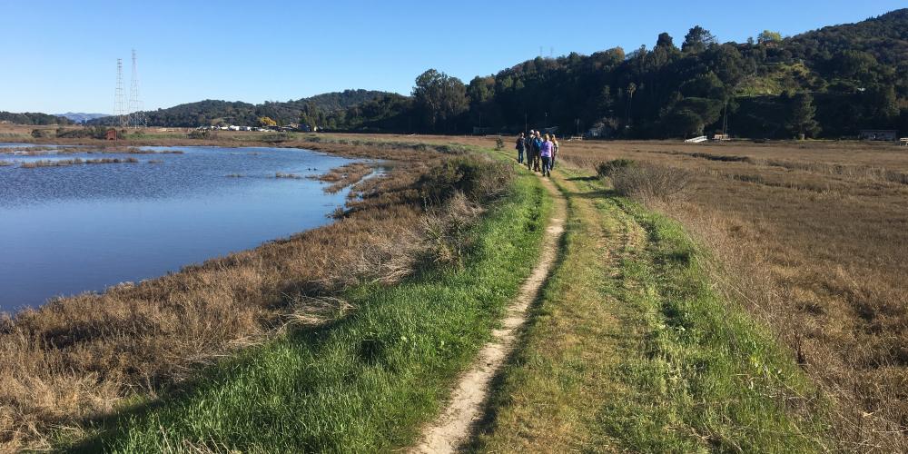 McInnes Marsh