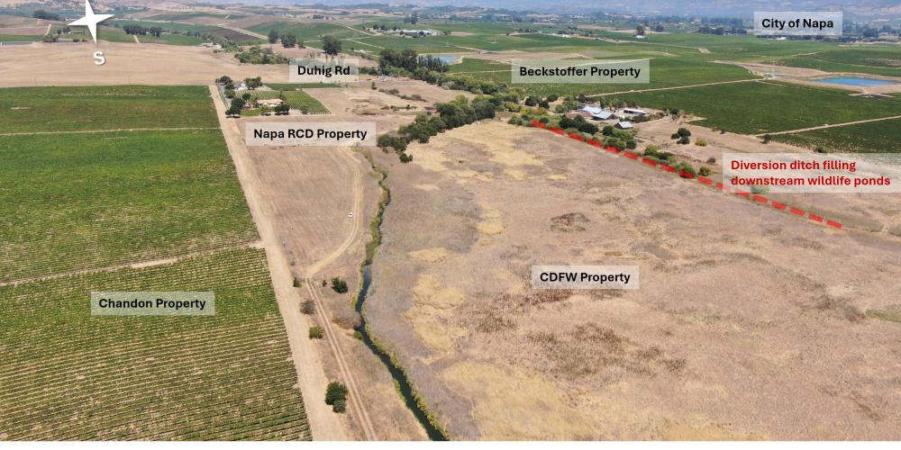 huichica creek photo
