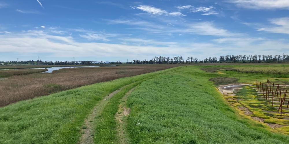 Napa River Site