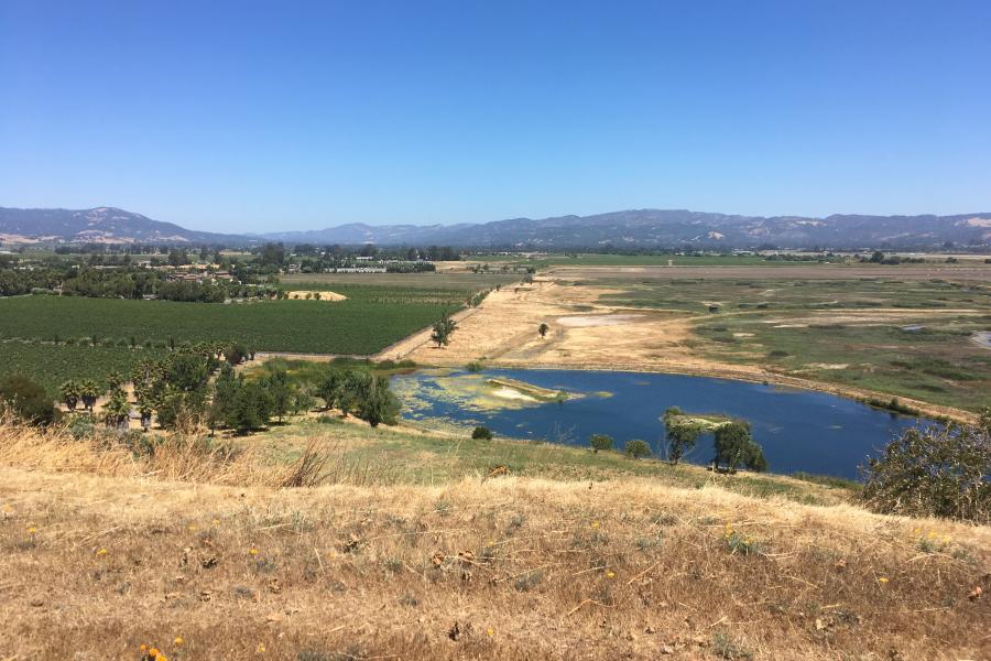 Sonoma Creek Baylands