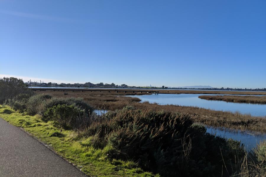 Bay Area shoreline