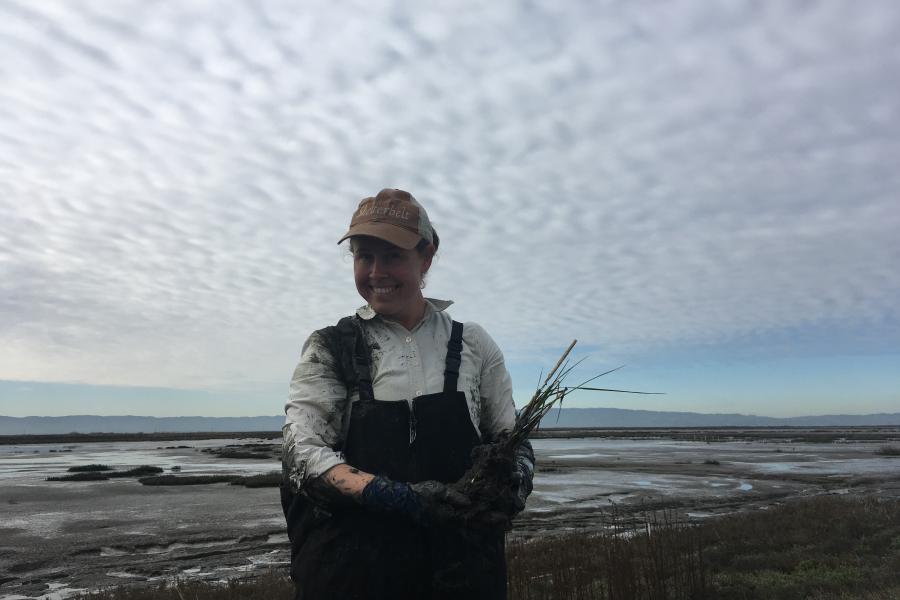 Planting native plans after invasive removal