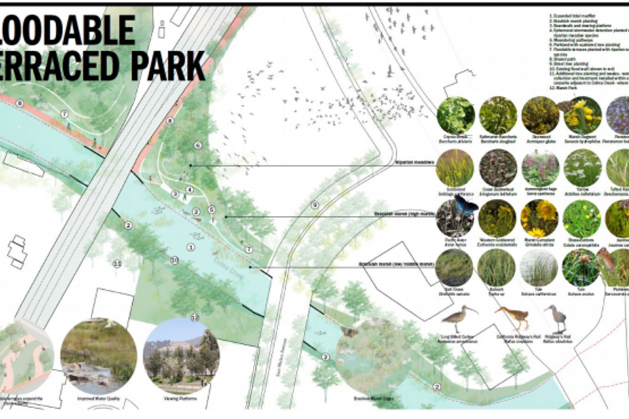 Colma Creek Rendering