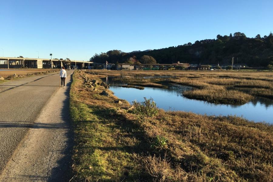 Bay Trail at Bothin Marsh
