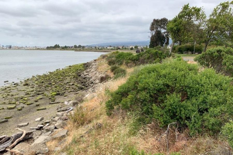 MLK Shoreline