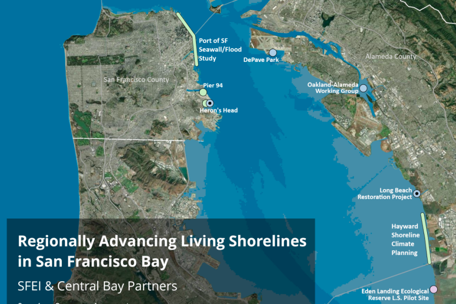 SFEI Advancing Living Shorelines