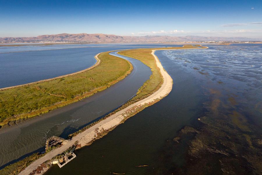 South Bay Salt Ponds. Photo: Cris Benton