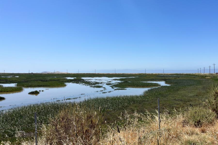 Eden Landing