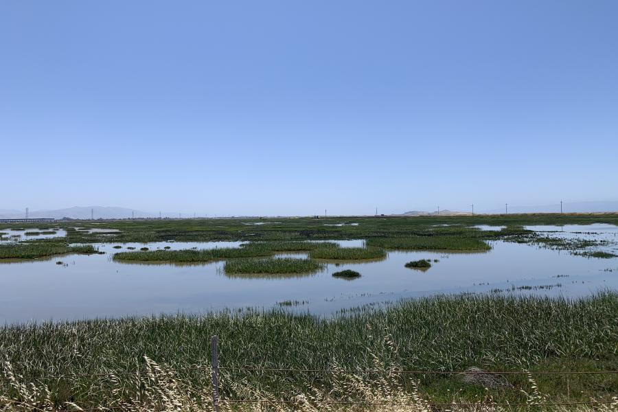 Photo of the bay by Natasha Daniels