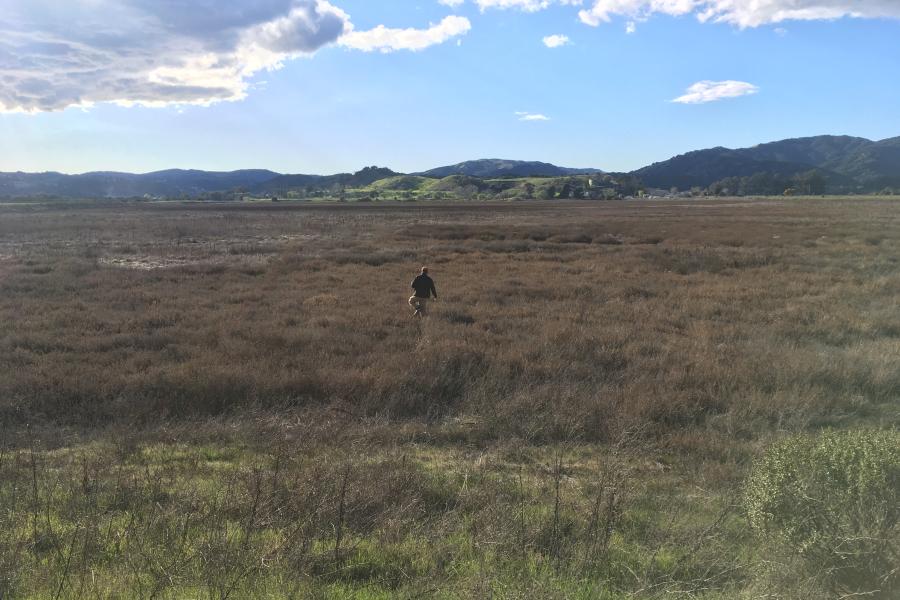 McInnes Marsh
