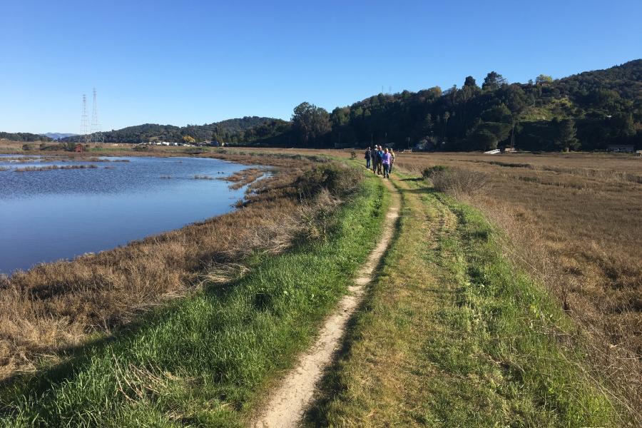 McInnes Marsh