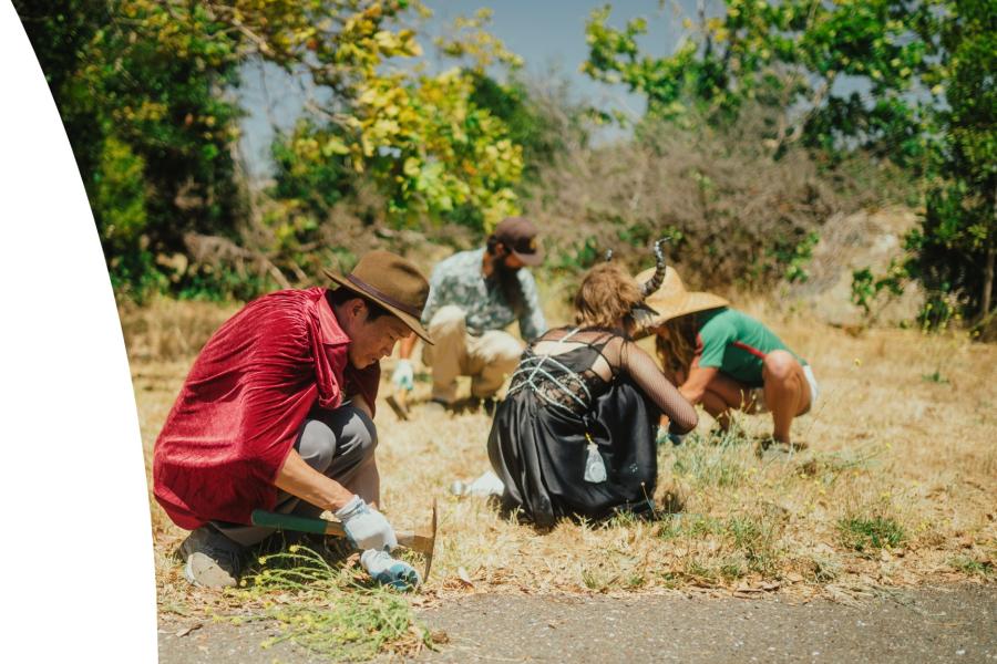 Mycelium Youth Network