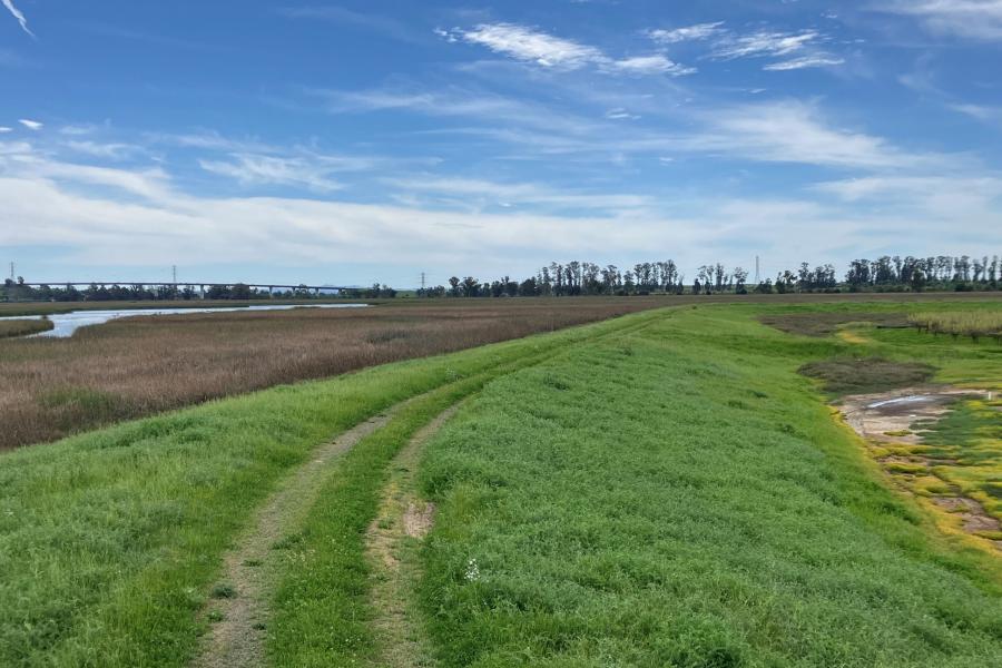 Napa River Site